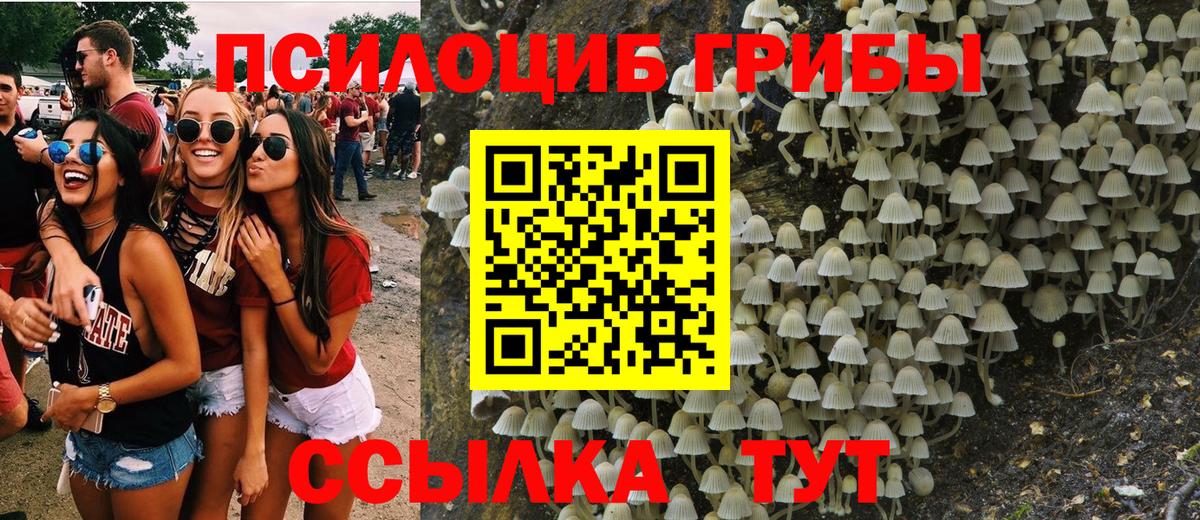 Галлюциногенные грибы ЛСД Кызыл